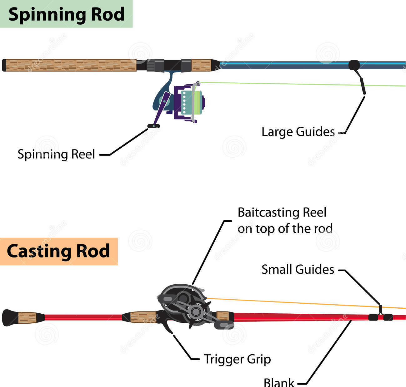 which fishing rod is better spinning or casting? 2